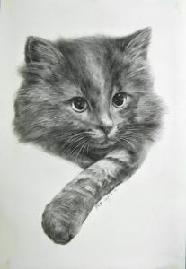 素描中要注意哪些關(guān)鍵點?洛陽畫室告訴您!