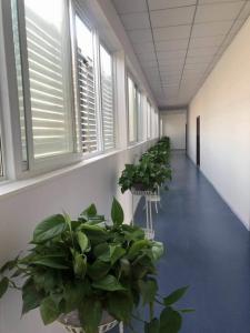 河南美術統考的評分標準是什么呢?洛陽畫室告訴您!